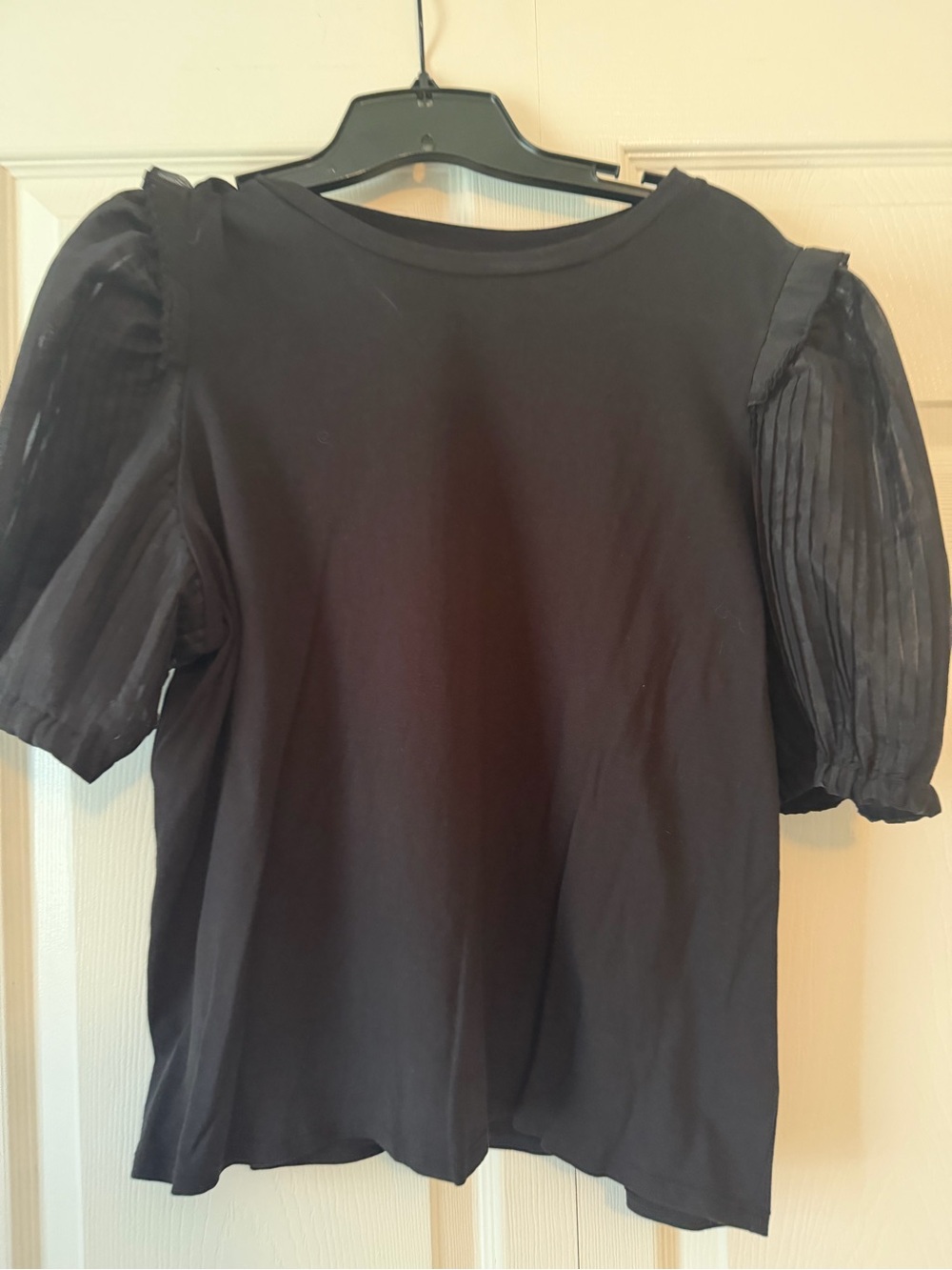 Express Black Top with Sheer Pleated Puff Sleeves